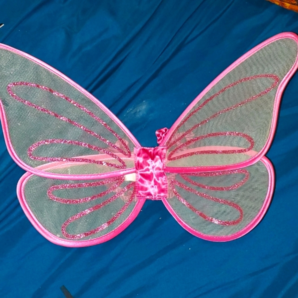 Dress Up Pretend Play Fairy Wings